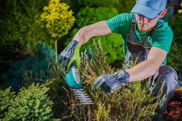 landscaping services Coopers Plains